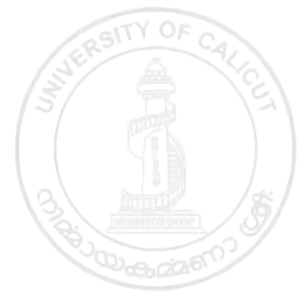 Showcasing Calicut University - certified skills guided by the best digital marketer in Abu Dhabi.